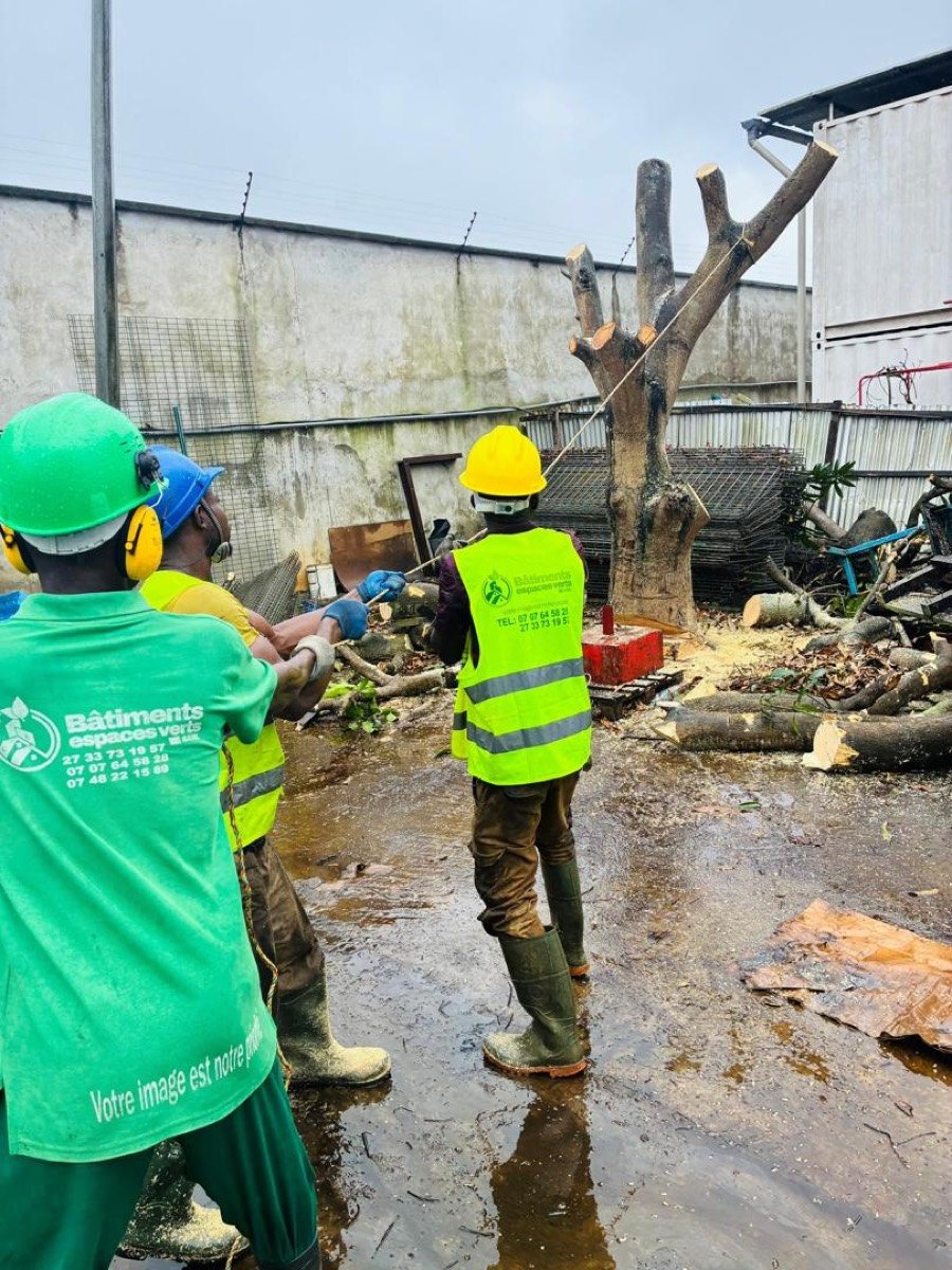 Abattage sur site industriel