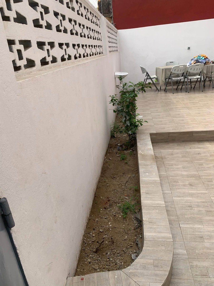 Bande de gazon le long d'un mur