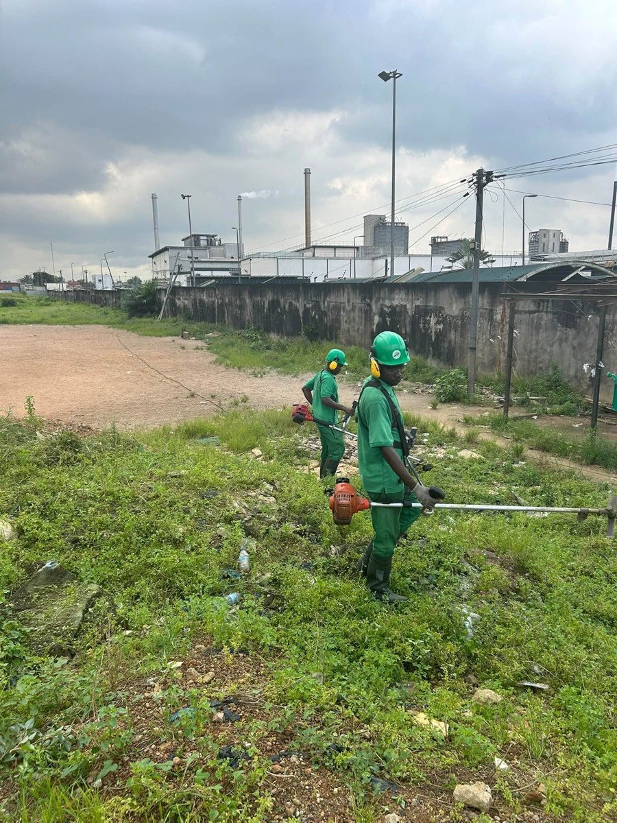 Débroussaillage d'un site industriel