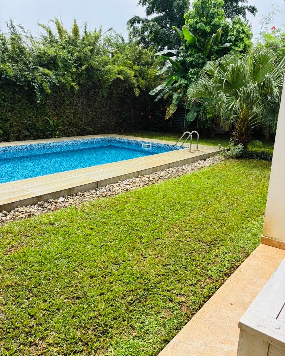 Engazonnement autour d'une piscine