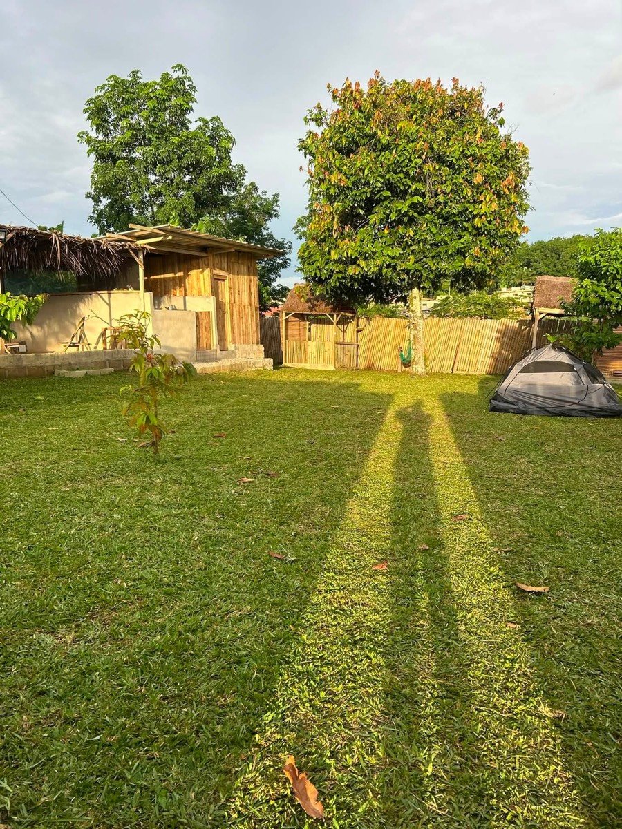 Jardin arboré