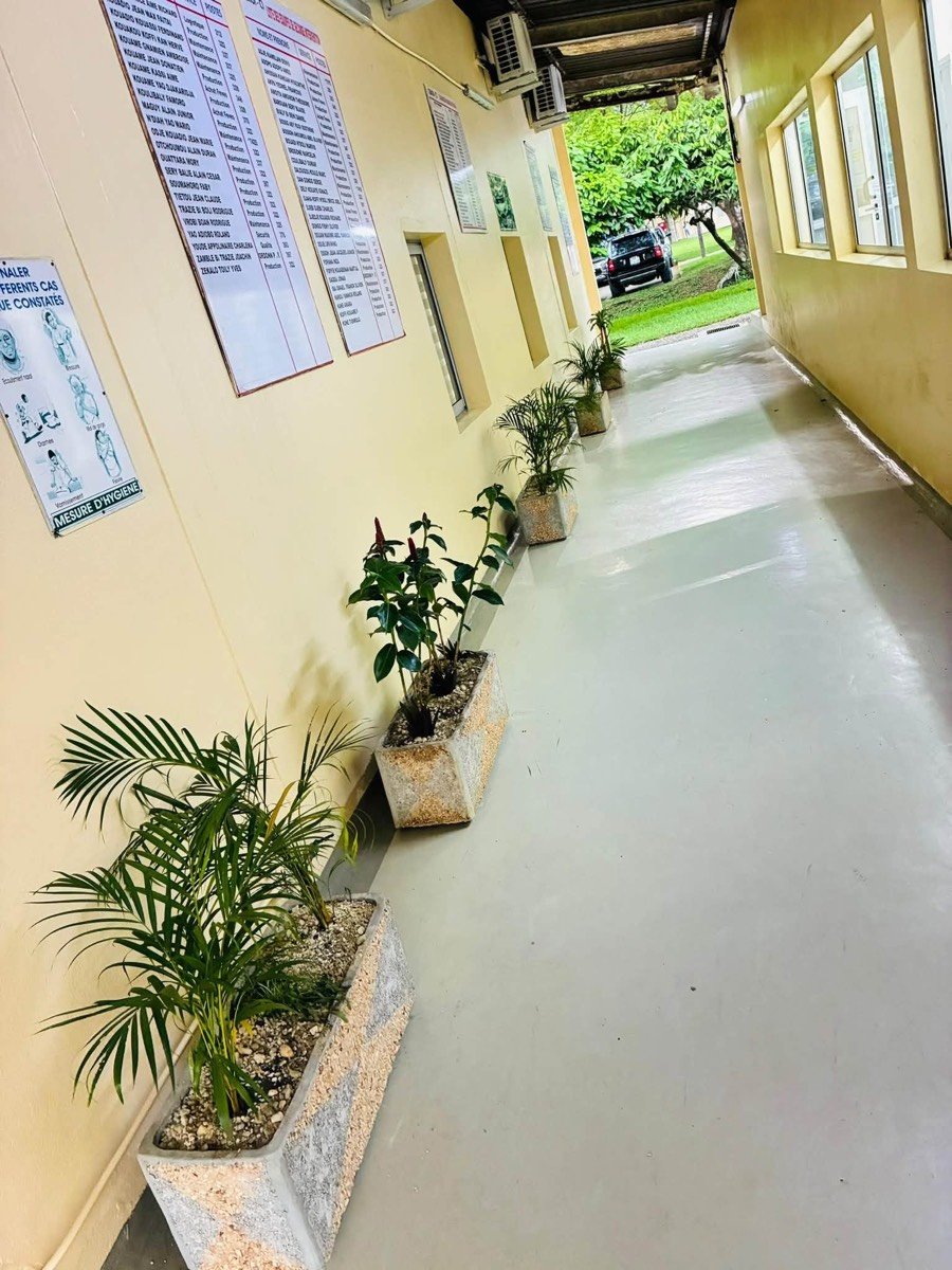 Couloir de bureaux propre décoré de plantes
